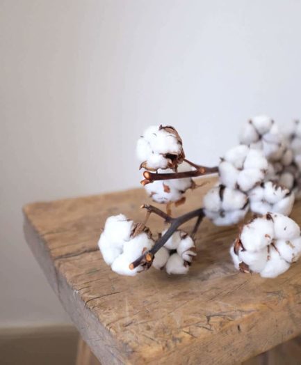 Composition Fleur de coton – Image 4