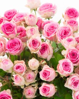 Bouquet de roses Douceur