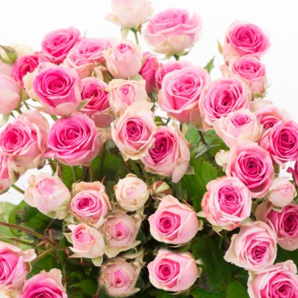 Bouquet de roses Douceur – Image 2