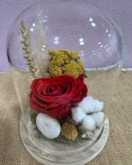Cloche de fleurs Raffina