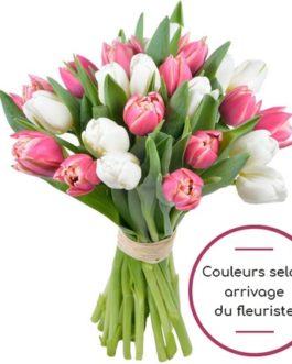 Bouquet de tulipes