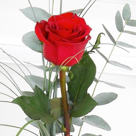 Soliflor Saint-Valentin – Image 2