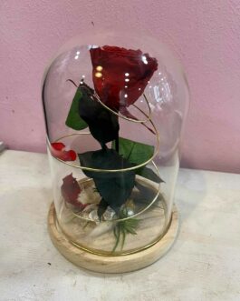 Cloche de rose éternelle Amour