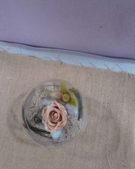 Composition rose éternelle Douceur