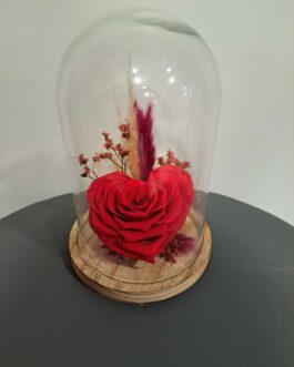 Composition éternelle L&rsquo;Elégance sous cloche