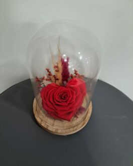 Composition éternelle L&rsquo;Elégance sous cloche