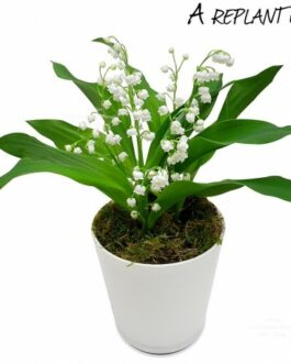 Panier de muguet