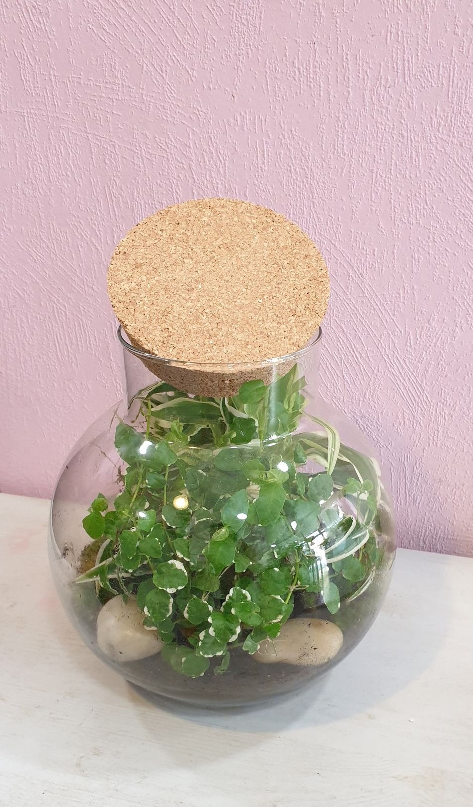 Terrarium Bulle de Nature Kanope en verre transparent et bouchon liège  Naturalys taille M - Ø 20 x 30 cm : Terrariums déco NATURALYS maison -  botanic®