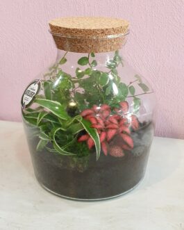 Terrarium naturel