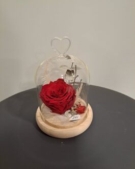 Cloche de rose éternelle Amour