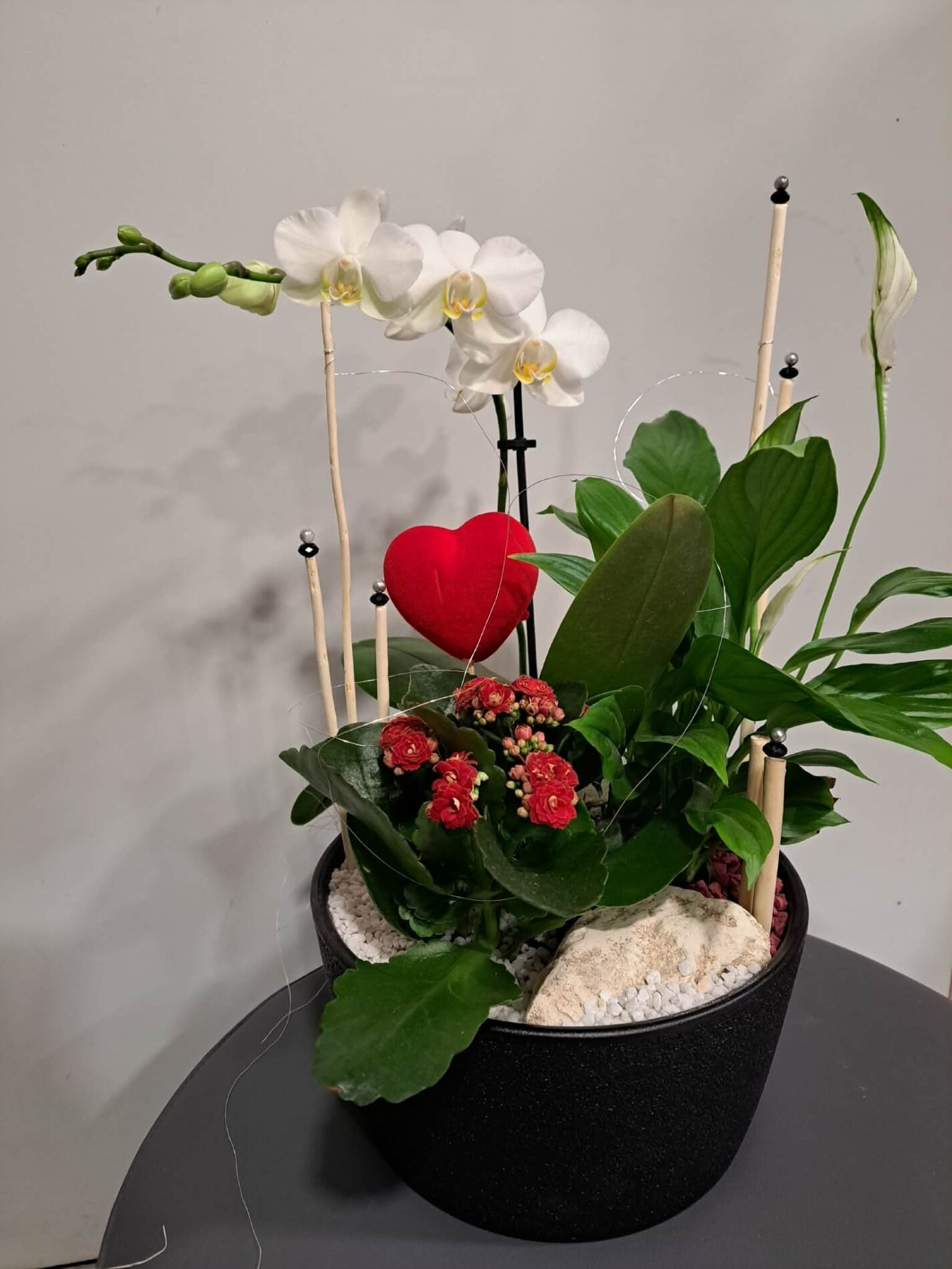 Composition de plantes Eternel Amour – Image 4