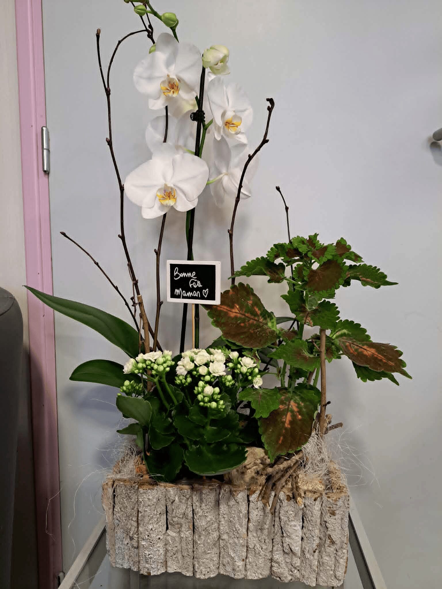 Jardin de douceur – Image 3