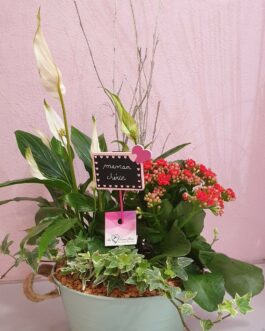 Composition de plantes maman chérie