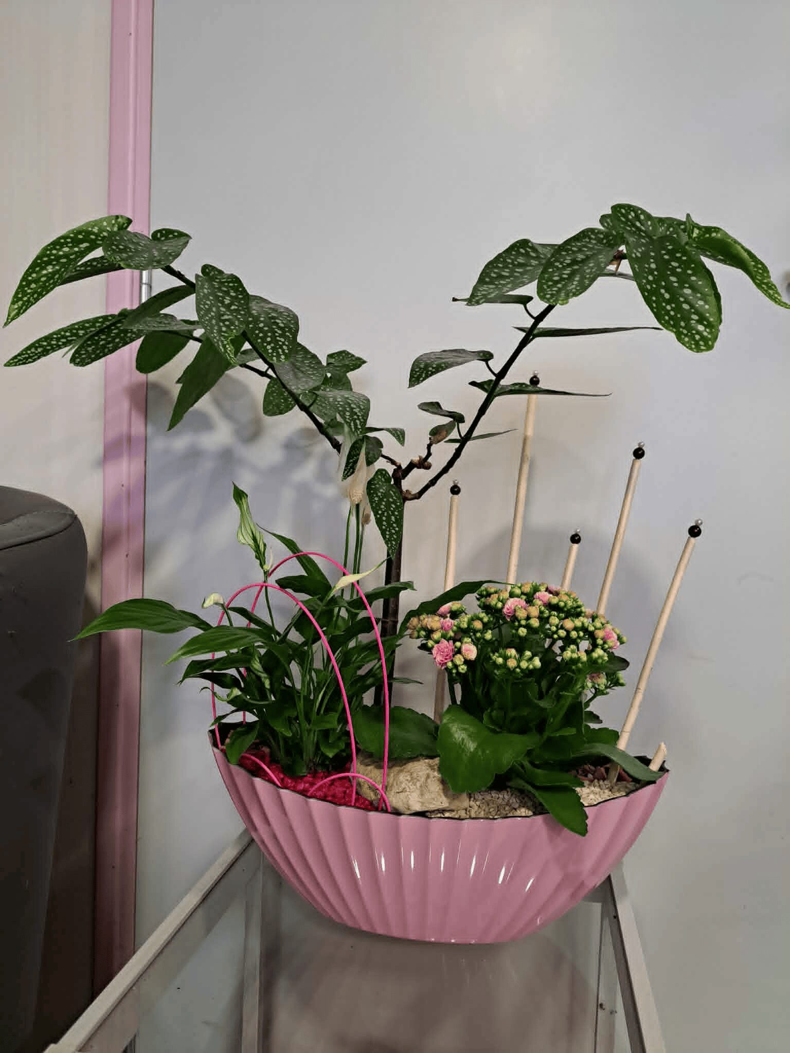 Composition de plantes ''Eternelle douceur''