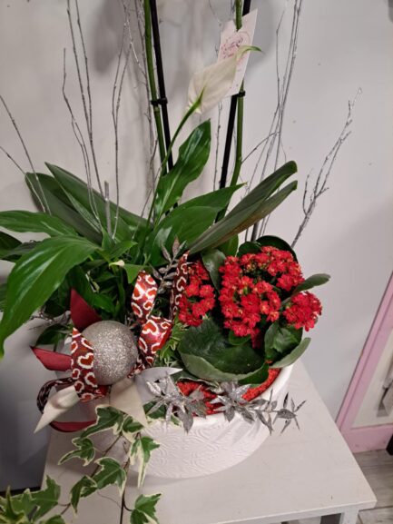 Composition Orchidée – Image 3