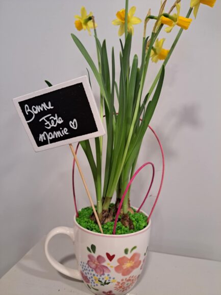 J'offre une tasse Amadeus à ma mamie ! – Image 2