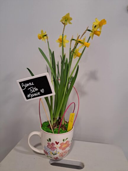 J'offre une tasse Amadeus à ma mamie !