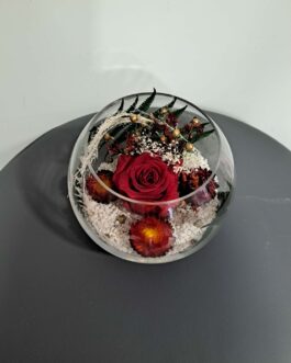 Composition rose éternelle Ombre