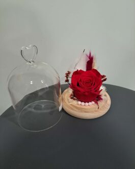 Composition rose éternelle Passion