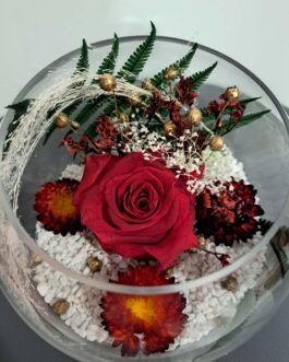 Composition rose éternelle Ombre