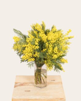 Bouquet de mimosa