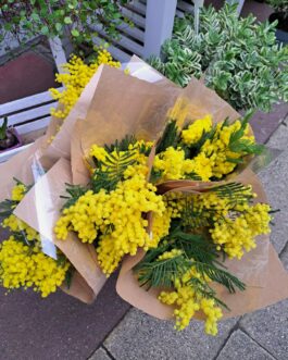 Bouquet de mimosa