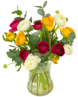 Bouquet Renoncule multicolore