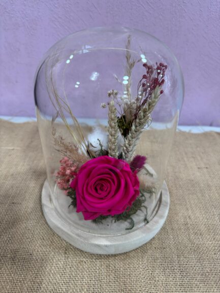 Cloche en verre Pistillia