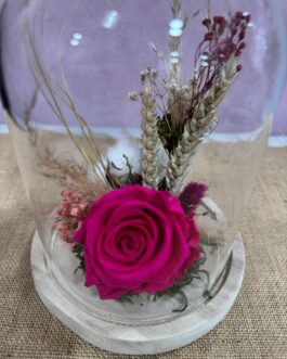 Cloche en verre Pistillia