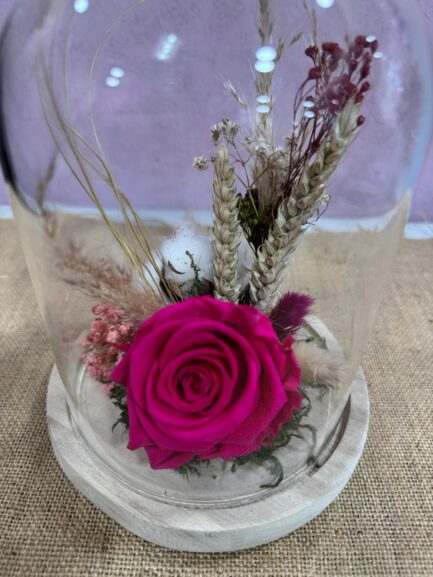 Cloche en verre Pistillia – Image 2