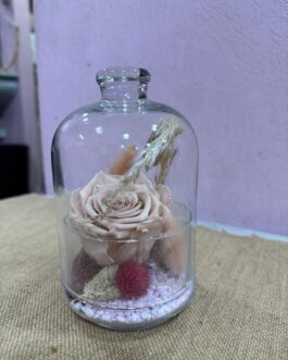 Composition de rose éternelle Vénus