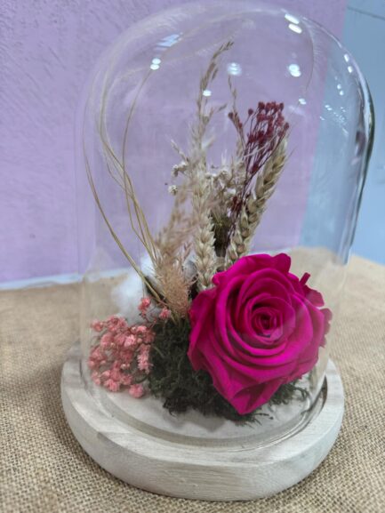 Cloche en verre Pistillia – Image 3