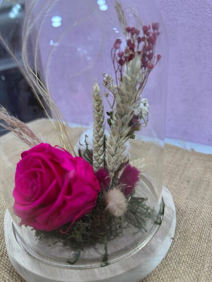 Cloche en verre Pistillia – Image 4