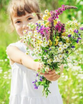 Atelier Floral Enfant « Thème 2 Mon Pot fleuri » SAMEDI 27 JUIN 10H